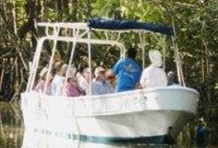 Damas Island Mangrove Tour